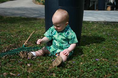 Hawaiian Raker