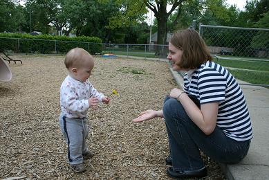 dandelion for mommy