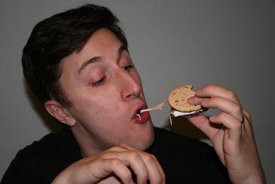 digestivesmoresIII