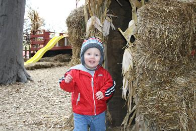 haymaze