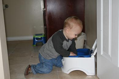 potty2