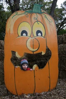 pumpkin
