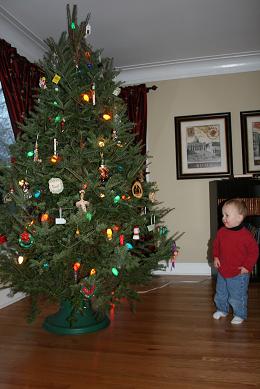 christmas-tree-012.jpg