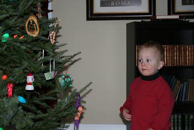 christmas-tree-015.jpg