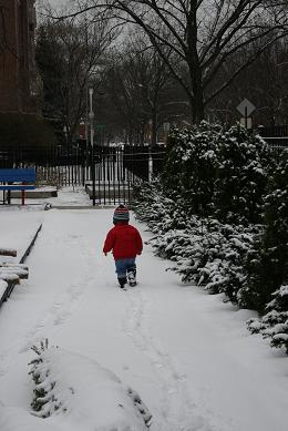 snow.jpg