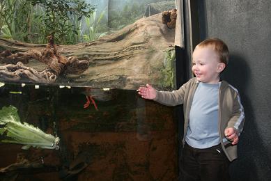 shedd1.jpg