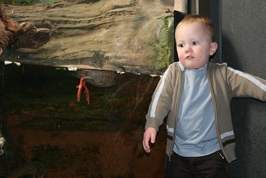 shedd2.jpg