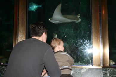 shedd3.jpg
