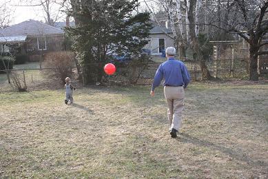 backyard.jpg
