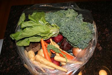 farmshareweekone.jpg