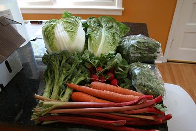 farmshareweek8.jpg