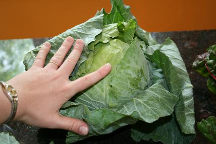 cabbage.jpg
