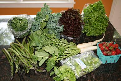 farmshareweek12.jpg