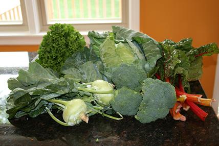 farmshareweek13.jpg