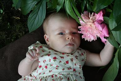 peony.jpg