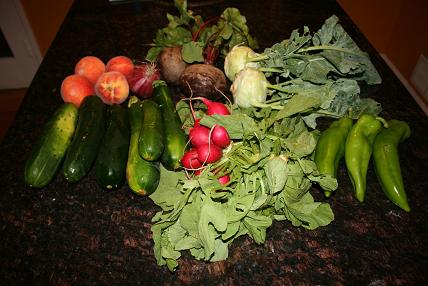 farmshareweek20.jpg