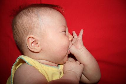 thumb-003.jpg