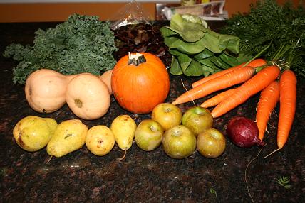 farmshareweek29 001