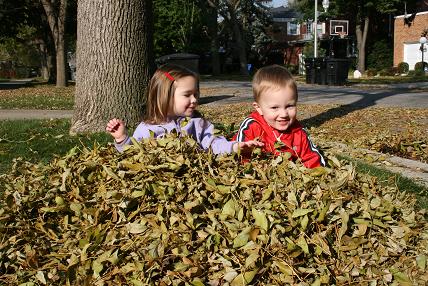 leaves 001