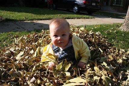 leaves 016