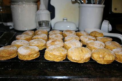 pumpkin biscuits 001