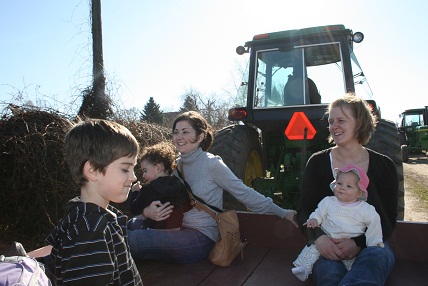applepicking1