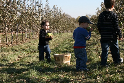 applepicking5