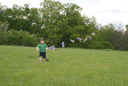 kites1