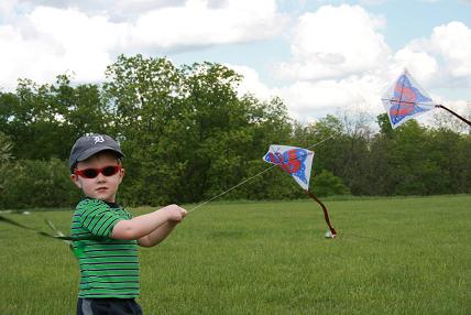 kites3