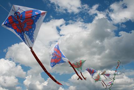 kites4