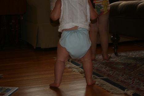 clothbutt