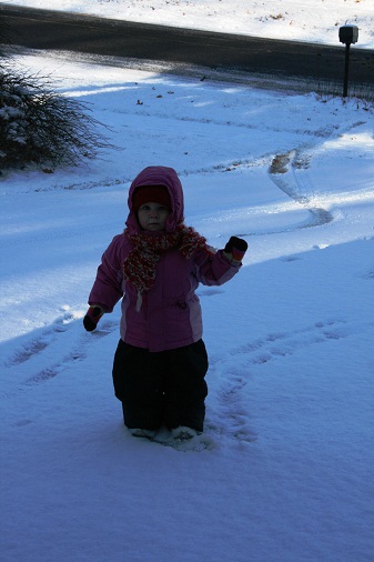 snow1