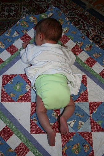 bumgeniusonesize