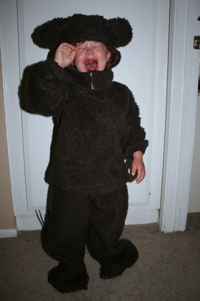 bear