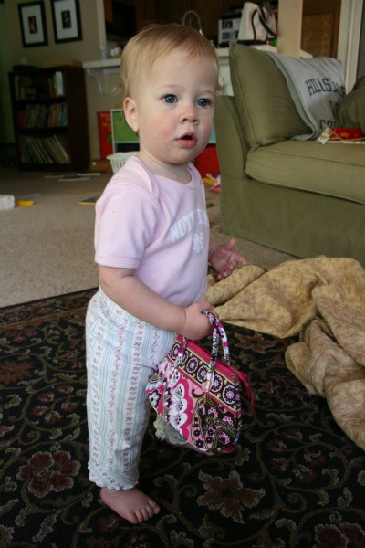 purse2