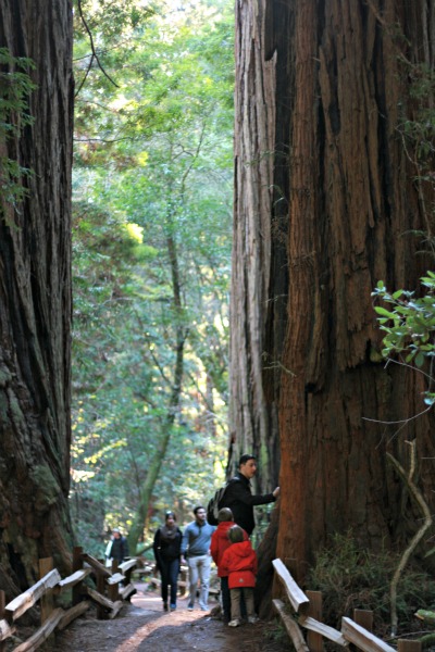 san francisco 039