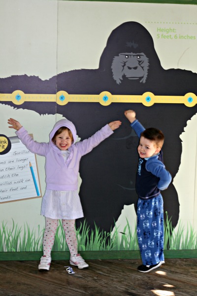 zoo2