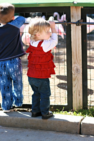zoo3