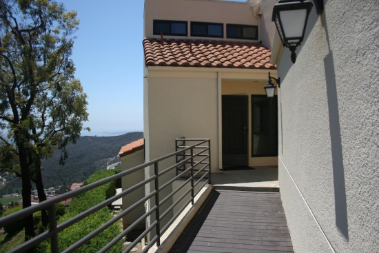 walkway along the side of the garage to our front door.
