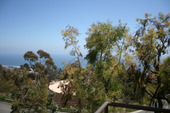 community playground and pool are just on the other side of that round thing.