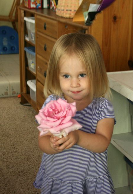 rose1