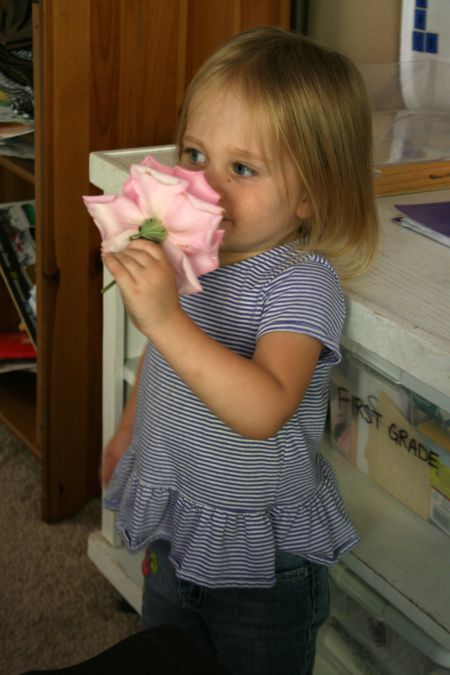 rose2