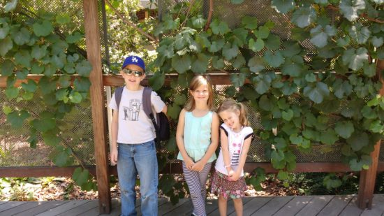 img_20160616_121617888.jpg