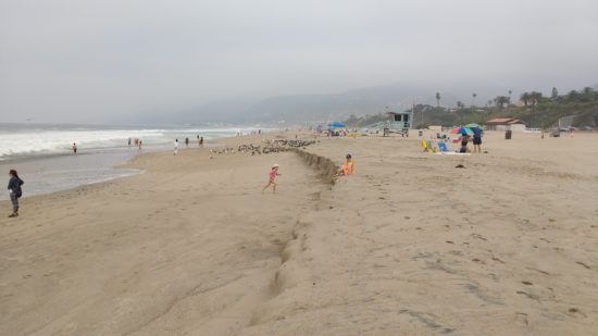 img_20160625_103144870.jpg