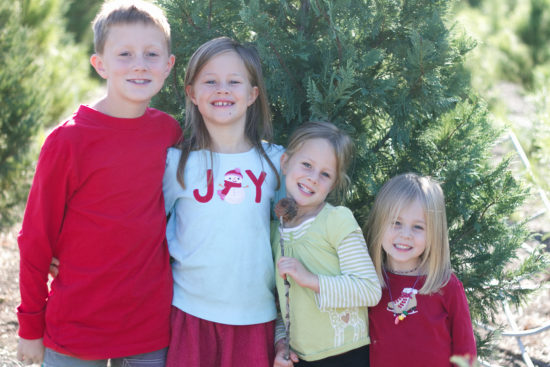 christmas-tree-hunting